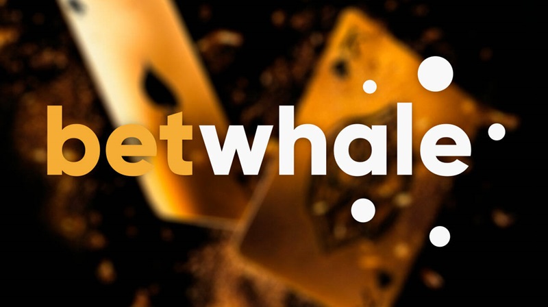 Cashback at Betwhale Sportsbook