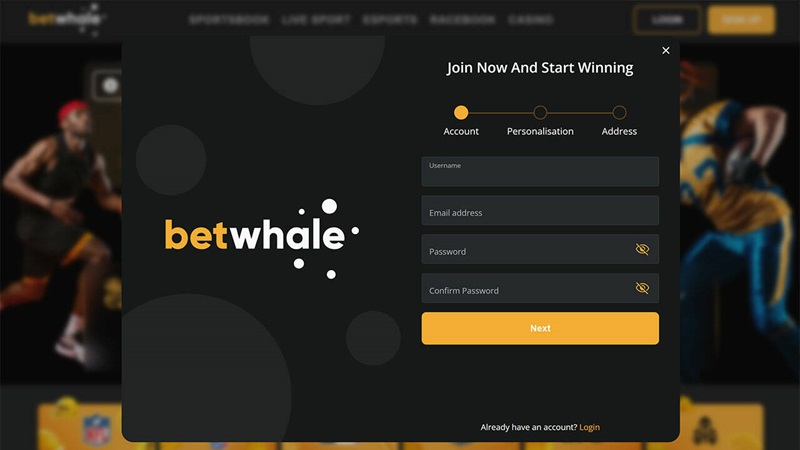 Loyalty Program at Betwhale Sportsbook