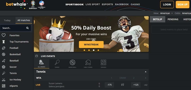 Loyalty Program at Betwhale Sportsbook